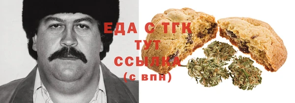 твердый Туринск