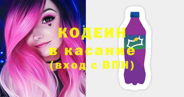 твердый Туринск