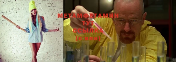 твердый Туринск