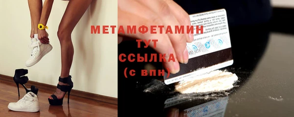 твердый Туринск