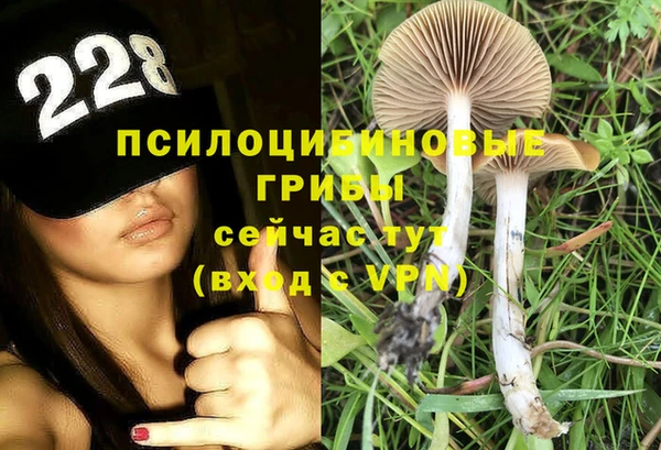 твердый Туринск