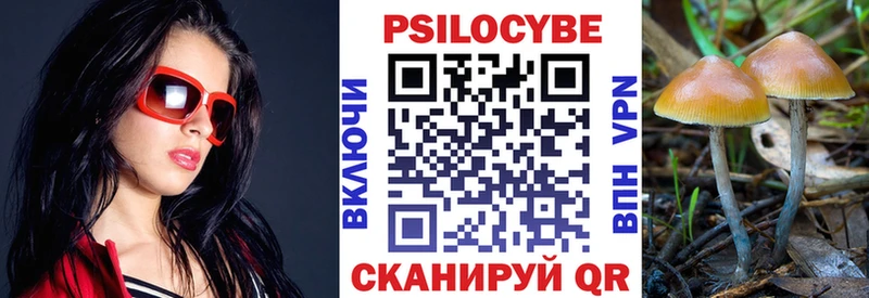 Псилоцибиновые грибы Cubensis  мориарти наркотические препараты  Абдулино 